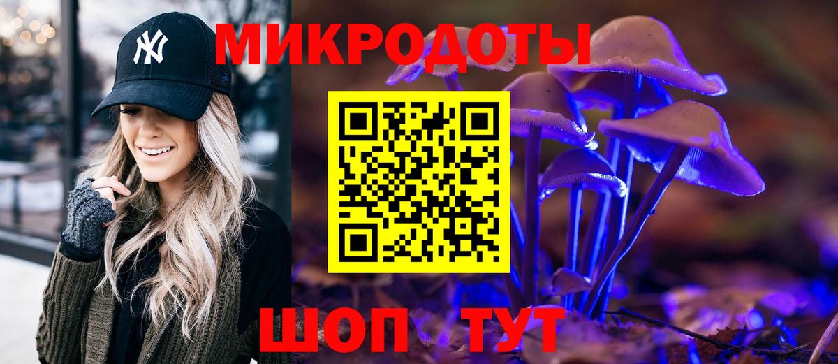 Галлюциногенные грибы прущие грибы  Вход с VPN  Заводоуковск 